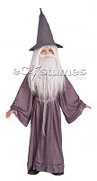 'Gandalf - Lord of the Rings' costume